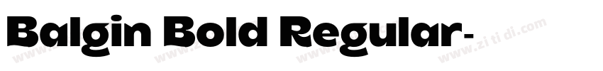 Balgin Bold Regular字体转换
